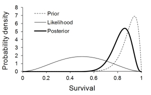 Fig. 10. Estimated annual survival of a large carnivore, showing a prior derived from mammalian data (dashed line; McCarthy et al. 2008), the likelihood with two of four individuals surviving for a year (thin line), and the posterior distribution that combines these two sources of information (thick line).